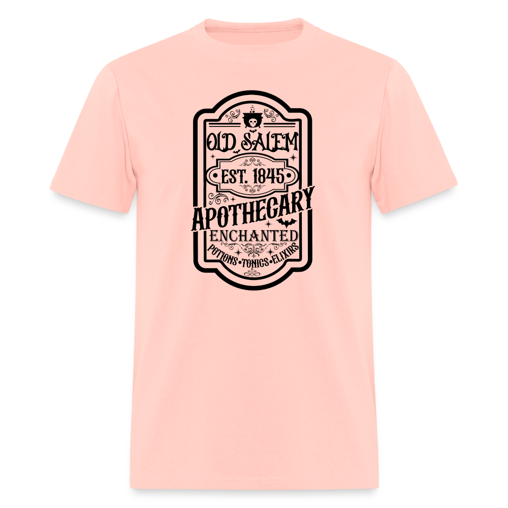 Old Salem Enchanted Apothecary T-Shirt (Halloween) - blush pink 